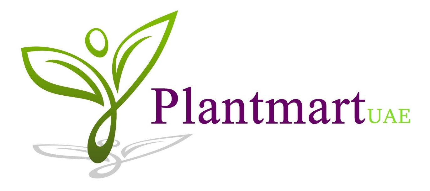 PlantmartAE