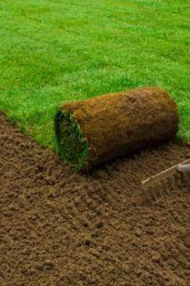 Natural Grass Carpet Roll 1m x1m - PlantmartUAE.com